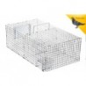 Anti Pigeons Cage Pliante