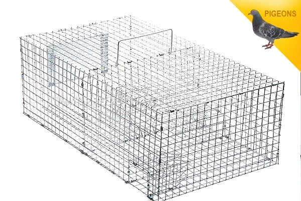 Anti Pigeons Cage Pliante