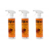 Anti punaises de lit Spray insecticide en lot de 2 + 1 offert