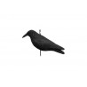 Anti pigeons effaroucheur corbeaux