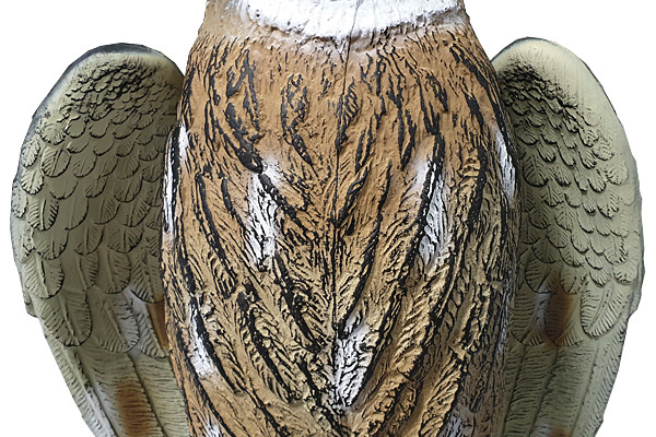 Sculpture Du Vent, Desrelles De Hibou Pour Effrayer Les