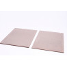 PLAQUE DE GLU BOIS - anti Rats et Surmulots lot de 2