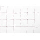 Filet Anti Pigeons 10m X 10m Maille 50 Beige