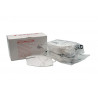 Masque de protection N95 / FFP2 lot de 20