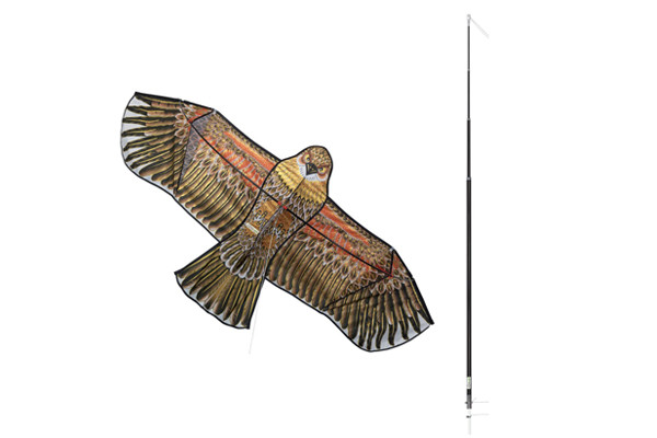 Anti pigeons et oiseaux, Effaroucheur volant faucon