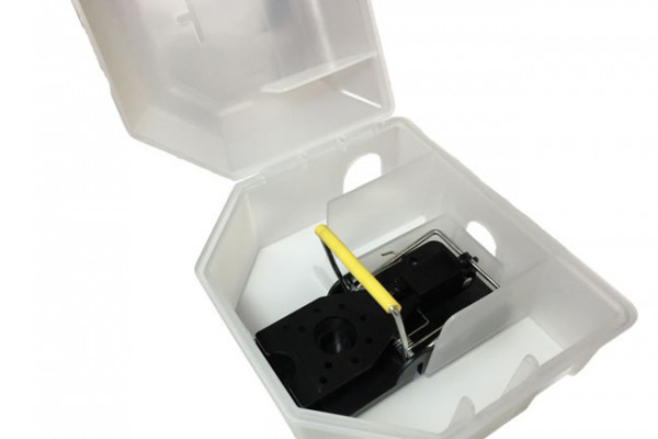 Piège anti souris Rotech® à tapette