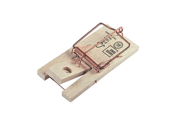 ACTO Lot De 5 Pièges à Souris En Bois - Tapettes Classiques Efficaces