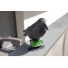 REPULSATOR BIRDS + CORBEAU - Effaroucheur anti Pigeons