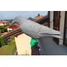 REPULSATOR BIRDS + CORBEAU - Effaroucheur anti Pigeons
