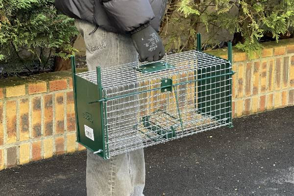 EXLECO Ceinture Anti Martres 3 X 100cm Anti Fouine Protection Contre Les Martres Dispositif Anti Martres Acier Inoxydable Pic Anti Chat Exterieur Pour Arbre Gouttière Avec Gants Serre Câbles