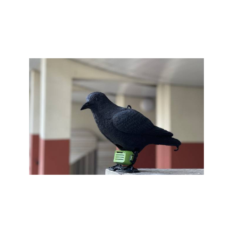 Dispositif anti pigeon - REPULSATOR