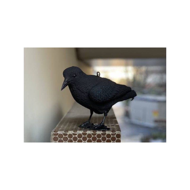 Anti pigeons effaroucheur corbeaux synthétique