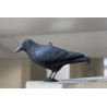 CORBEAU SYNTHÉTIQUE - anti Pigeons Effaroucheur