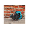 RACUMIN FOAM - anti Souris en Mousse 500 ml