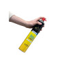 DIGRAIN GUÊPES et FRELONS - Aérosol Insecticide 750ml
