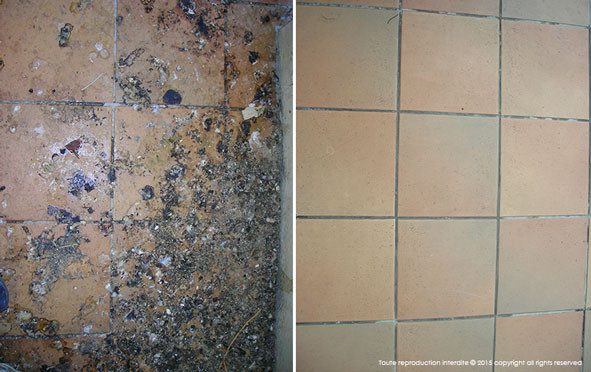 surfaces anti pigeons nettoyées