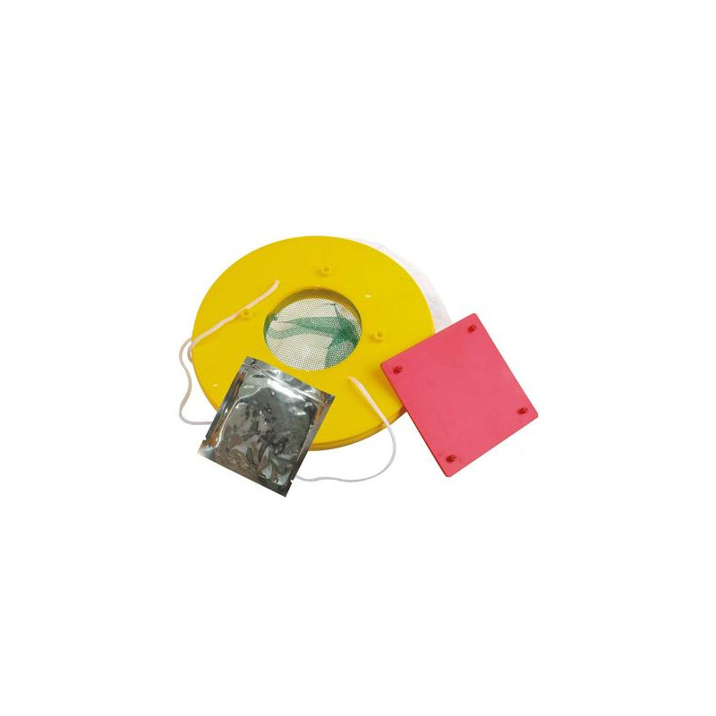 TERRO Piège à mouche à fruits TERRO - Paquet de 2 | Home Depot Canada TERRO Piège à mouche à fruits TERRO - Paquet de 2 | Home Depot Canada