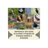 BIRD STOP PRO - Répulsif Sonore anti Pigeons et Oiseaux (couvre 5000m²)