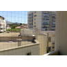 Filet anti Pigeons 10X10 Maille 50 Noir