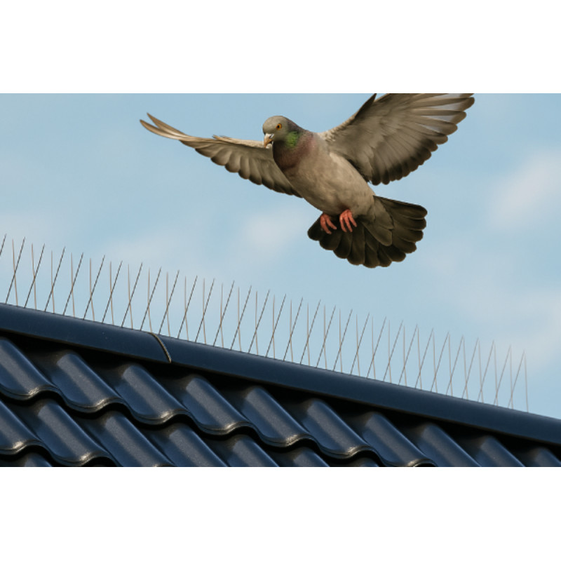 Bird-Tech 3m Pics Anti-Pigeons Acier Inox – Kit Complet Avec Colle 80ml, Inox AISI 302, Fabriqué UE + 10 Ans Garantie