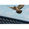 ULTRA 2 - Pics anti Pigeons 1 mètre
