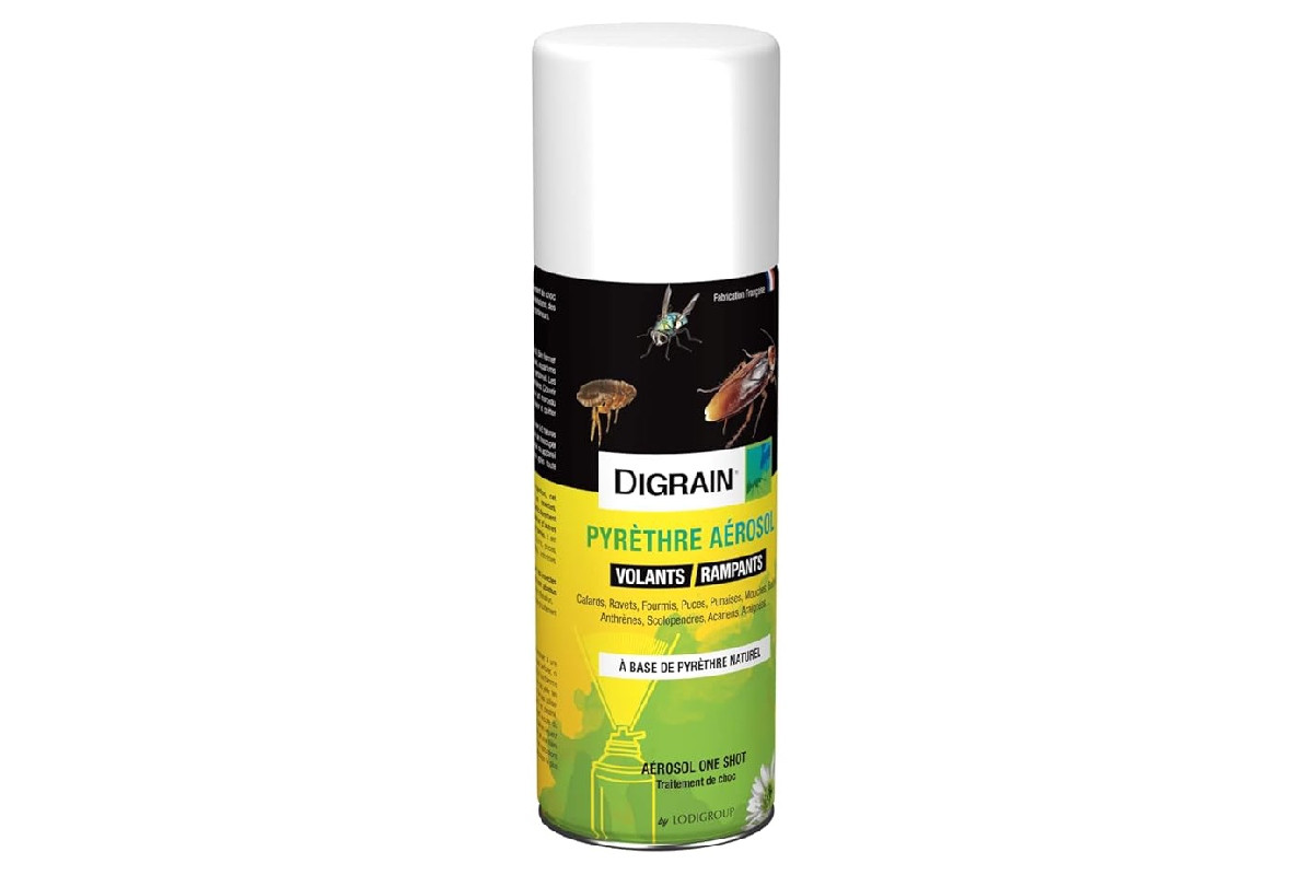 lot de 4 Anti araignées Aérosol Insecticide Digrain Pyrèthre (Amazon)