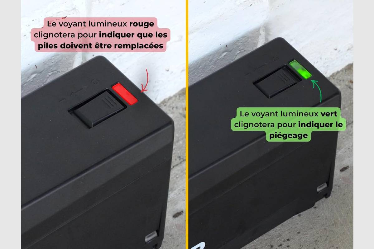Anti rats piège...