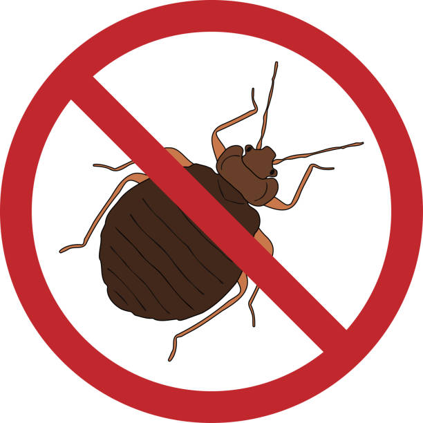 Anti Punaises De Lit Teskad Bed Safe - Plaquette Préventive Et Curative
