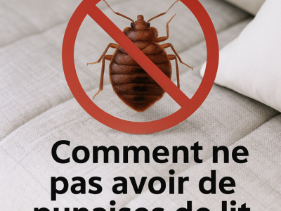 Comment ne pas avoir de punaises de lit ?