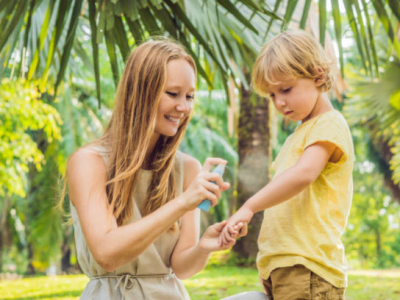Solution contre les moustiques : guide complet 