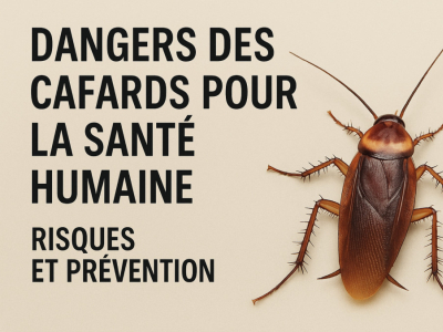 Quels sont les dangers des cafards pour la santé humaine ?