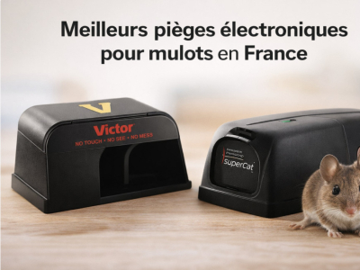 Quels sont les meilleurs pièges électroniques pour mulots disponibles en France