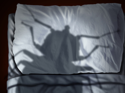 Punaises de Lit : Précautions Essentiels et Conseils pour éviter l'infestation