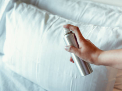 Produits anti-puces de lit : quel traitement choisir selon votre situation ?
