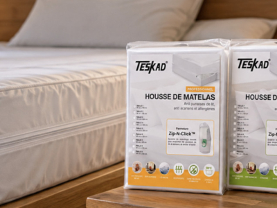 Housse anti punaises de lit : laquelle choisir et comment l'installer